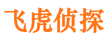 察布查尔侦探